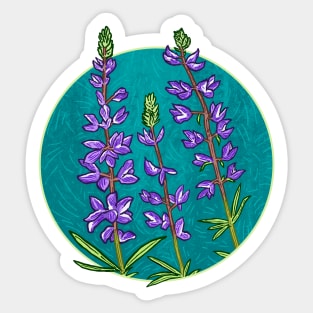 SHOWY GROWY Silver Lupine Sticker